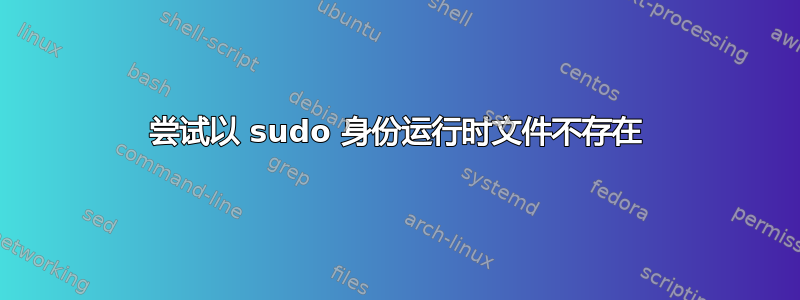 尝试以 sudo 身份运行时文件不存在