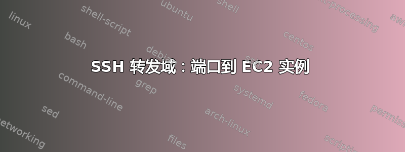 SSH 转发域：端口到 EC2 实例