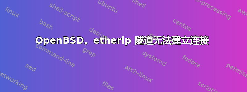 OpenBSD。etherip 隧道无法建立连接