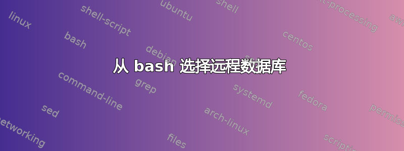 从 bash 选择远程数据库