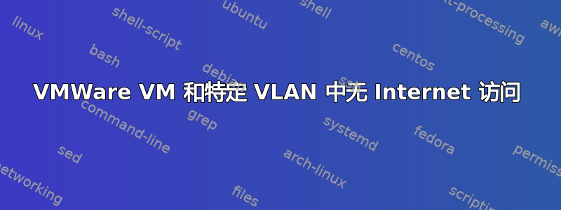 VMWare VM 和特定 VLAN 中无 Internet 访问