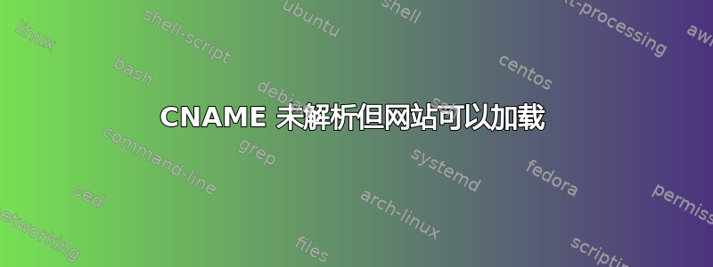 CNAME 未解析但网站可以加载