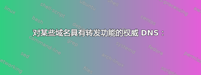 对某些域名具有转发功能的权威 DNS：