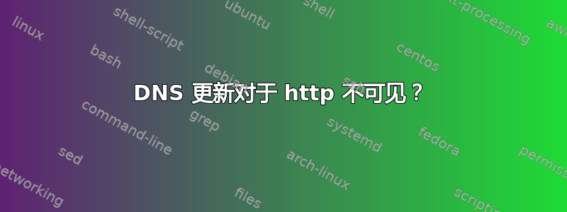 DNS 更新对于 http 不可见？