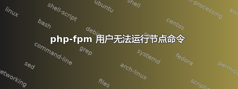 php-fpm 用户无法运行节点命令