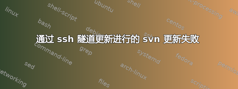 通过 ssh 隧道更新进行的 svn 更新失败