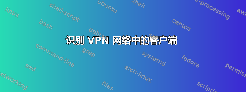 识别 VPN 网络中的客户端