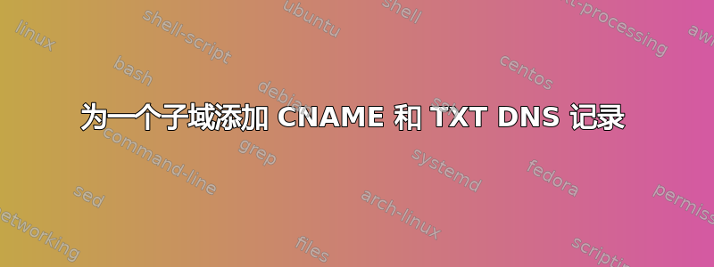 为一个子域添加 CNAME 和 TXT DNS 记录