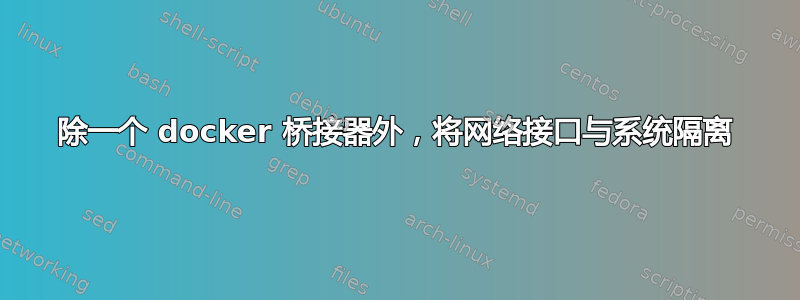 除一个 docker 桥接器外，将网络接口与系统隔离