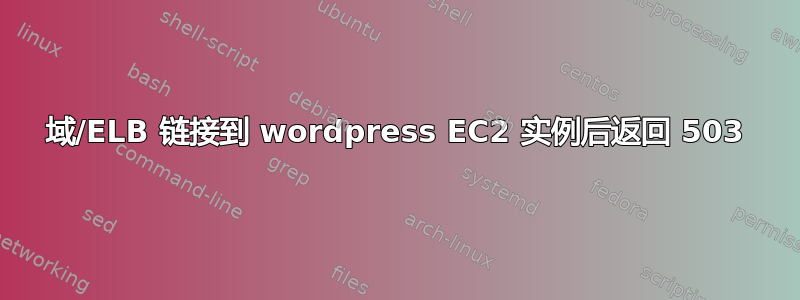 域/ELB 链接到 wordpress EC2 实例后返回 503