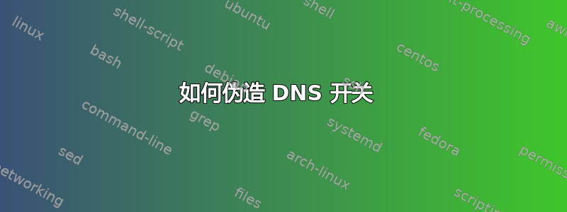 如何伪造 DNS 开关 