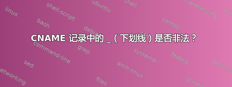 CNAME 记录中的 _（下划线）是否非法？