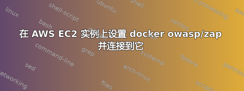 在 AWS EC2 实例上设置 docker owasp/zap 并连接到它