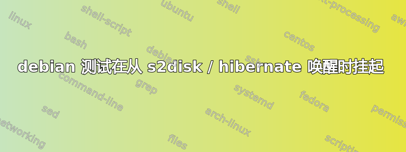 debian 测试在从 s2disk / hibernate 唤醒时挂起