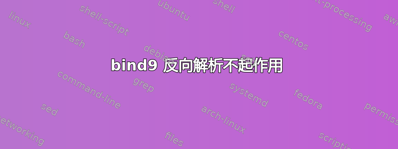 bind9 反向解析不起作用