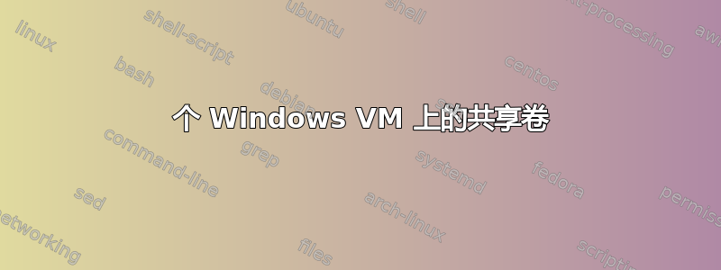 2 个 Windows VM 上的共享卷