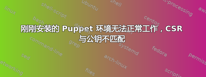 刚刚安装的 Puppet 环境无法正常工作，CSR 与公钥不匹配