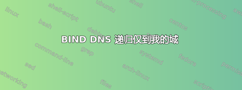 BIND DNS 递归仅到我的域