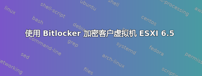 使用 Bitlocker 加密客户虚拟机 ESXI 6.5