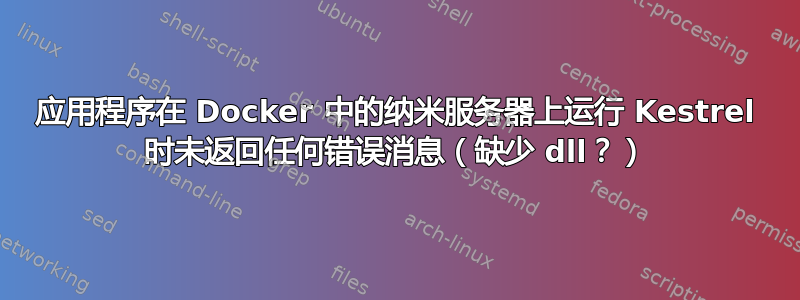 应用程序在 Docker 中的纳米服务器上运行 Kestrel 时未返回任何错误消息（缺少 dll？）