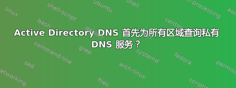 Active Directory DNS 首先为所有区域查询私有 DNS 服务？