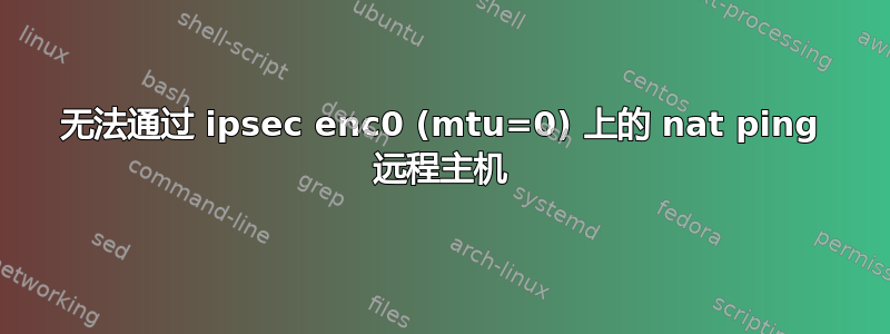 无法通过 ipsec enc0 (mtu=0) 上的 nat ping 远程主机