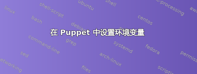 在 Puppet 中设置环境变量