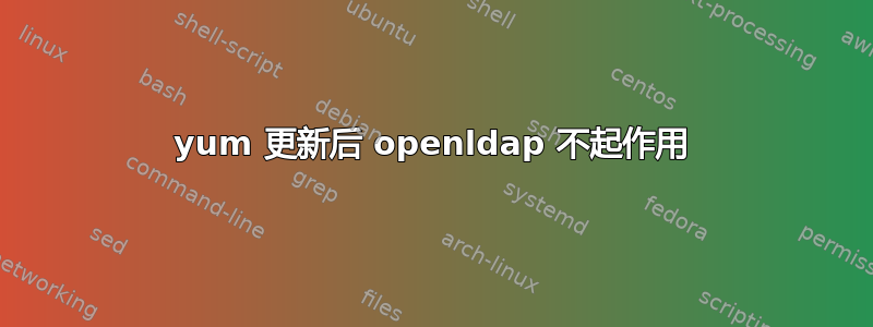 yum 更新后 openldap 不起作用