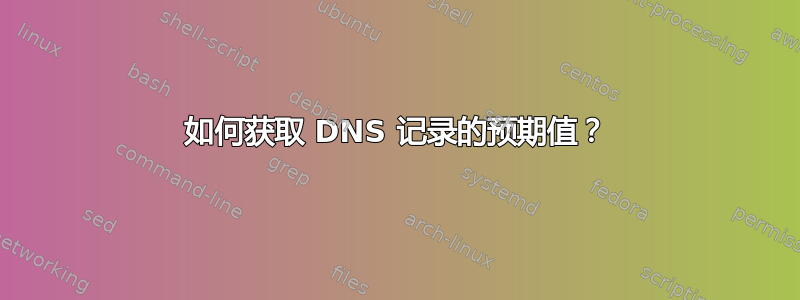 如何获取 DNS 记录的预期值？