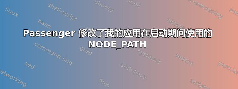 Passenger 修改了我的应用在启动期间使用的 NODE_PATH