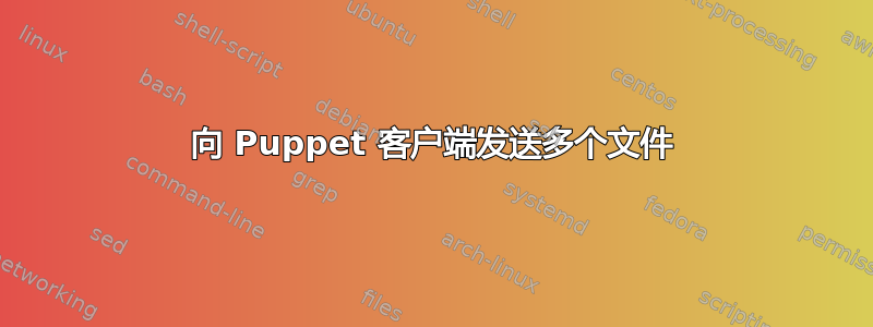 向 Puppet 客户端发送多个文件