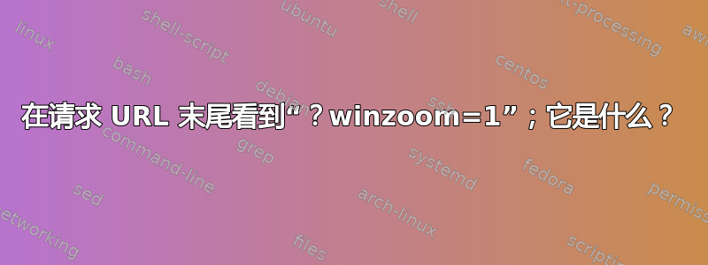 在请求 URL 末尾看到“？winzoom=1”；它是什么？