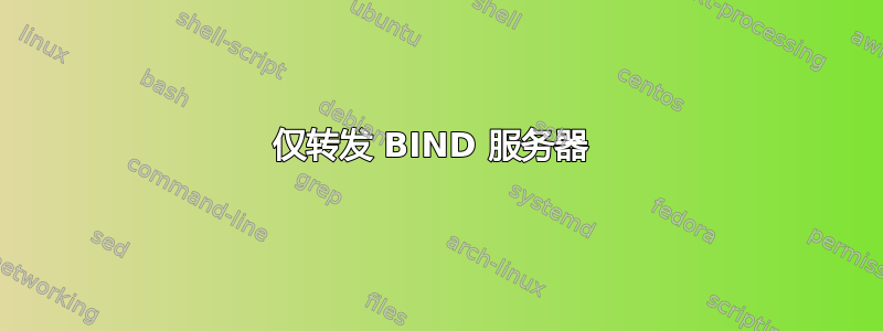 仅转发 BIND 服务器 