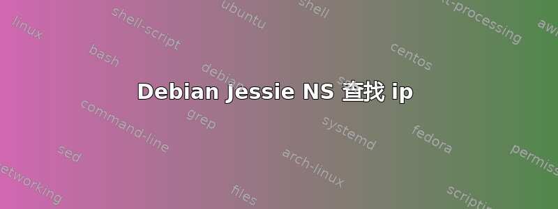 Debian Jessie NS 查找 ip