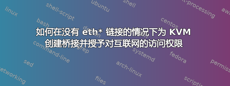 如何在没有 eth* 链接的情况下为 KVM 创建桥接并授予对互联网的访问权限