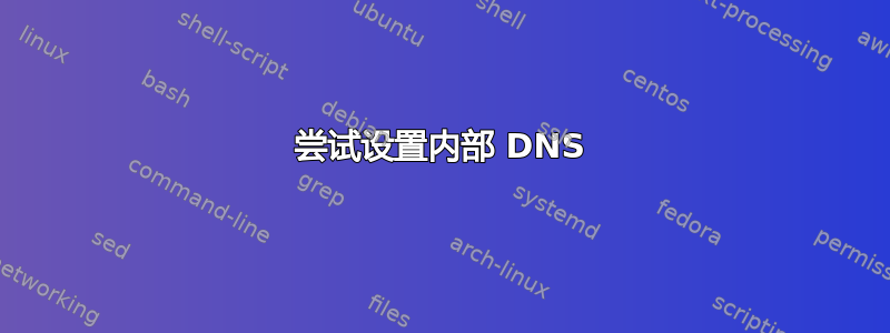 尝试设置内部 DNS