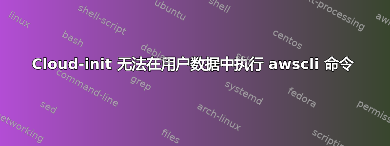 Cloud-init 无法在用户数据中执行 awscli 命令