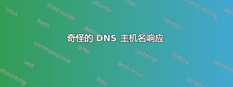 奇怪的 DNS 主机名响应