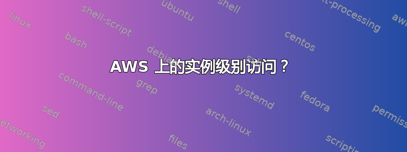 AWS 上的实例级别访问？