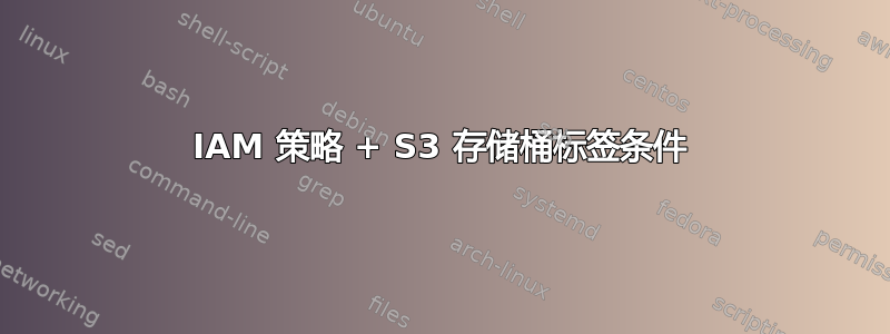 IAM 策略 + S3 存储桶标签条件