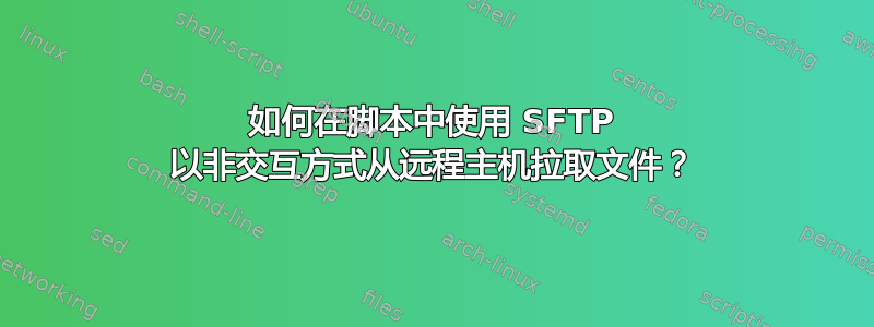 如何在脚本中使用 SFTP 以非交互方式从远程主机拉取文件？