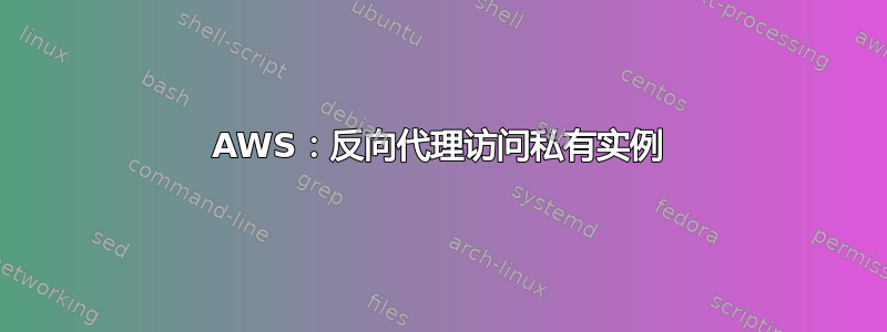 AWS：反向代理访问私有实例