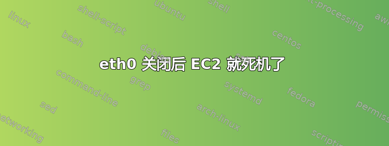 eth0 关闭后 EC2 就死机了