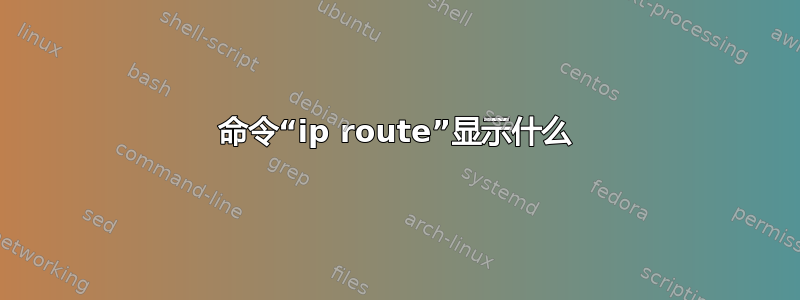 命令“ip route”显示什么