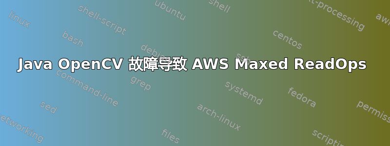 Java OpenCV 故障导致 AWS Maxed ReadOps