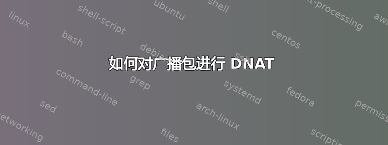 如何对广播包进行 DNAT