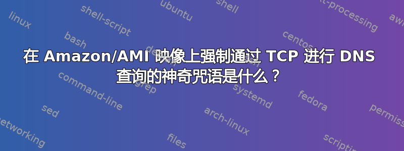 在 Amazon/AMI 映像上强制通过 TCP 进行 DNS 查询的神奇咒语是什么？