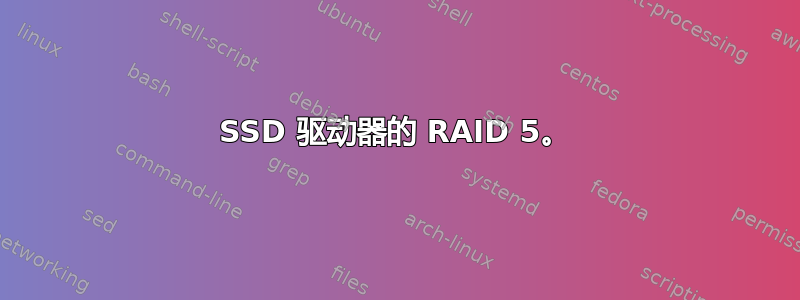 SSD 驱动器的 RAID 5。