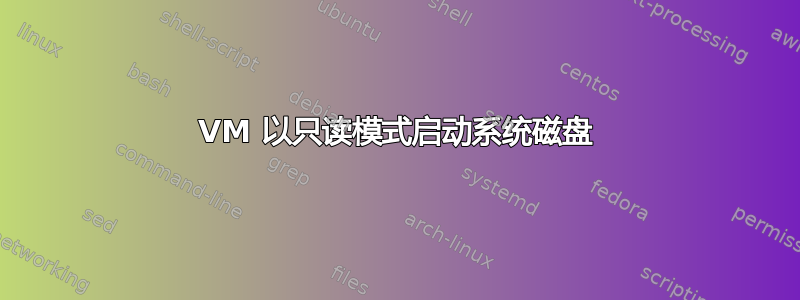 VM 以只读模式启动系统磁盘