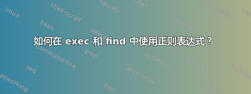 如何在 exec 和 find 中使用正则表达式？